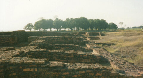 インド・カピラ城跡